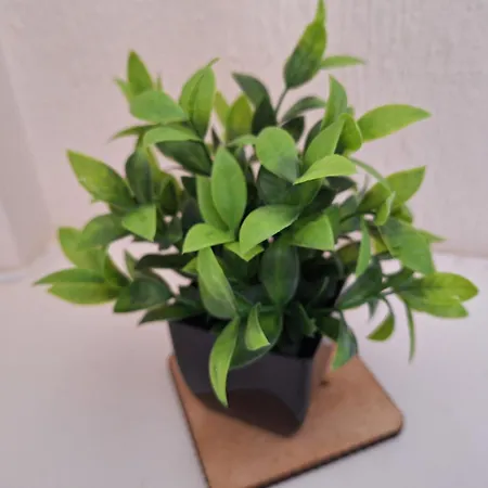 펜션 Fieldside House *