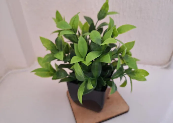 Holiday home Fieldside House *